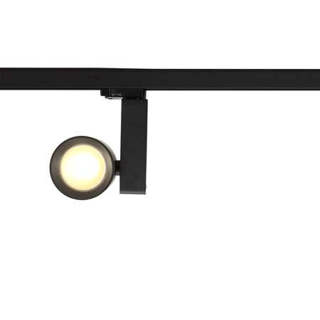 Reflektor Ojo 25W 2700/4000K Czarny 3 Obwodowy