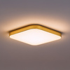 Plafon NEMO GOLD 17W LED