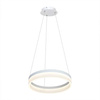 LAMPA WISZĄCA RING 24W LED