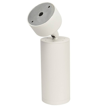 Oprawa sufitowa Spot MICA WHITE 1xGU10