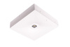 Oprawa awaryjna natynkowa STARLET QUAD LED SO 250 A 1H MT IP20 / 92821