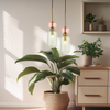 Szklana lampa wisząca MOLLY GREEN 1xE14