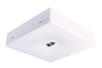 Oprawa sieciowo-awaryjna natynkowa STARLET QUAD LED SC 250 SA 1H MT IP20 / 92922