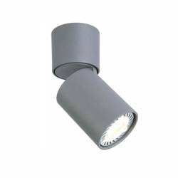 Oprawa  OZZO Cleo 1C-GR spot 1-50W szara