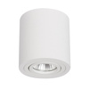 Tulon oprawa natynkowa biała LP-5441/1SM WH