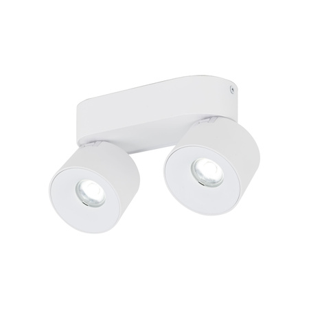 SPARK DUO WHITE CCT 20W