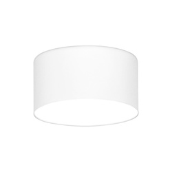 Oprawa sufitowa Spot K-5471 z serii HORN