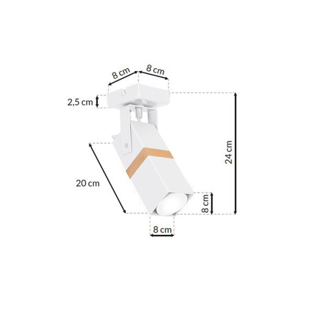 Lampa sufitowa VIDAR WHITE 1xGU10