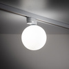 Tk Lighting TRACER WHITE WHITE GLASS lampa sufitowa 1xG9