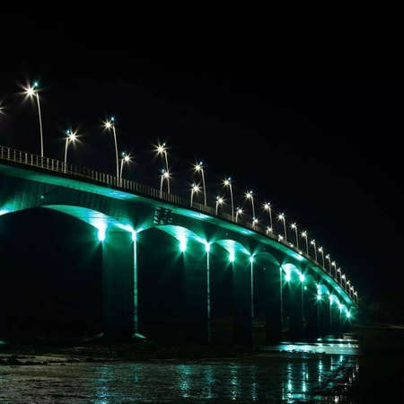 Projektor naświetlacz LED 20W IP65 halogen barwa zielona 1700lm