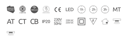 Oprawa sieciowo-awaryjna natynkowa Starlet Round SCH 250 NM 2H MT IP20 [BLK] / soczewka korytarzowa do pomieszczeń wysokich / 90895