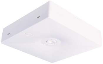 Oprawa sieciowo-awaryjna natynkowa STARLET QUAD SO 350 CB IP20 / współpraca z centralną baterią / 92848