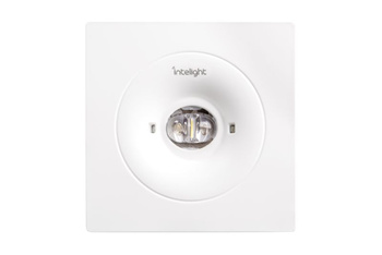 Intelight Oprawa sieciowo-awaryjna podtynkowa STARLET SPOT QUAD SCH 250 M 3H AT / 84466