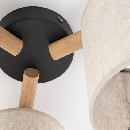 Lampa sufitowa DEVA NATURE 3xE27