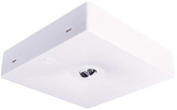 Oprawa sieciowo-awaryjna natynkowa Starlet Quad SC 250 M 2H CT IP20 / 92932