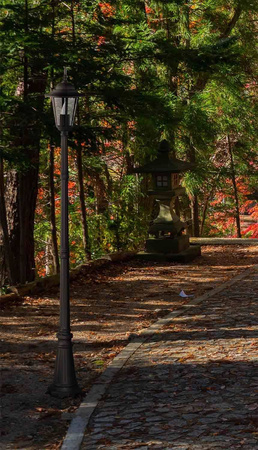 Pojedyncza, zewnętrzna lampa stojąca K-7064A/1 CZARNY z serii STANDARD