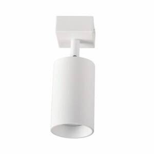 Lampa ścienno-sufitowa MARIBEL 1 GU10 biała + złoty pierścień