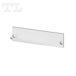 Zaślepka aluminiowa srebrna P20-1 bez otworu (wkręty w komplecie) (nr kat 7720112)