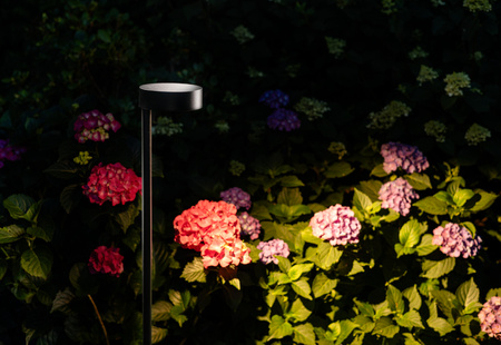 Lampa stojąca wbijana ogrodowa RUBY LED 7W 3000K Nowodvorski 11542