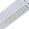 RANGO R7S SMD-WW Źródło światła LED