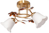 Lampa sufitowa podwójna plafon z kryształkami 2xE27