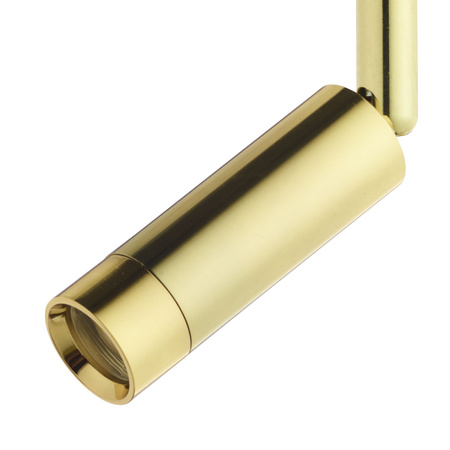 Tk Lighting TRACER LED CZARNO/ZŁOTY LED