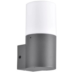 Kinkiet zewnętrzny DALLAS prosty grafit 1xE27