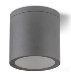 Oprawa elewacyjna sufitowa QUAZAR 18 okrągła 1xGU10 IP44 szara