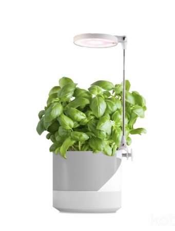 Lampa do roślin LED VERDI 10W barwa ciepła 3200K  ściemniana