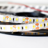 Taśma Pro 120 LED 48W 6000K IP65 5m