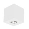 Lyon 1 oprawa natynkowa biala LP-5881/1SM WH