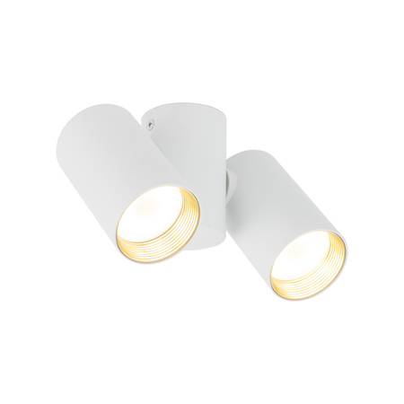 AMIS WHITE DOWNLIGHT 2xGU10