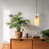 Szklana lampa wisząca MOLLY AMBER 1xE14