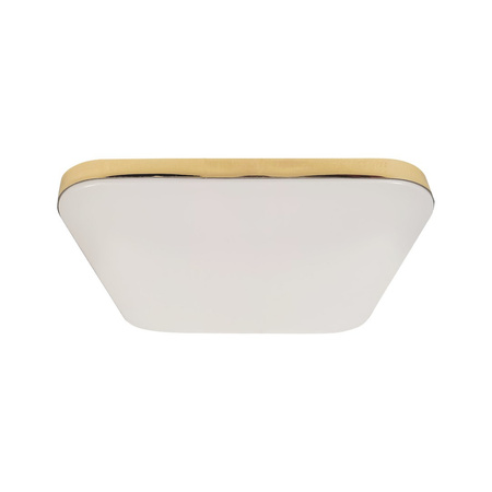 Plafon NEMO GOLD 17W LED