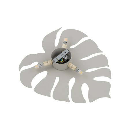 Kinkiet MONSTERA Beige 3xG9