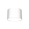 Lampa sufitowa DIXIE White  1xGX53 biała