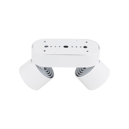 SPARK DUO WHITE CCT 20W