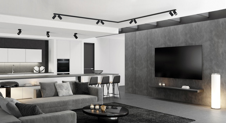 Nowodvorski Lampa sufitowa czarna reflektor MONO