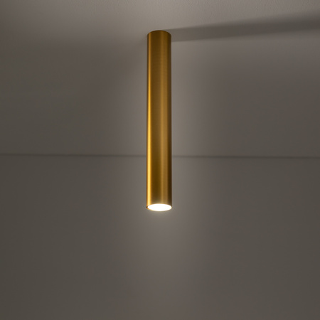 Nowodvorski Lampa punktowa natynkowa mosiądz EYE L 