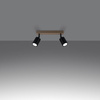 Lampa sufitowa VERDO 2 czarny