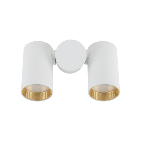 AMIS WHITE DOWNLIGHT 2xGU10