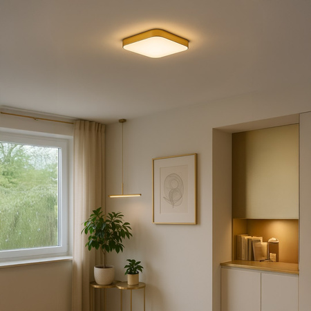 Plafon NEMO GOLD 17W LED