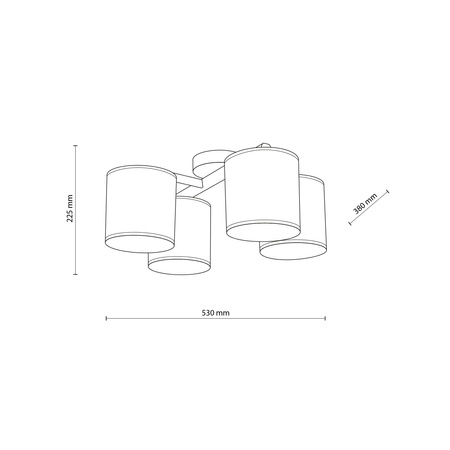 Lampa sufitowa DEVA NATURE 4xE27