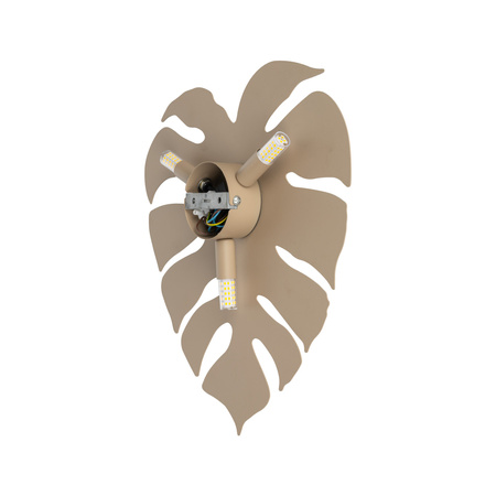MONSTERA SABIA KINKIET  3