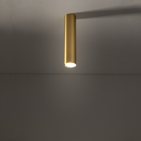 Nowodvorski Lampa punktowa natynkowa mosiądz EYE M