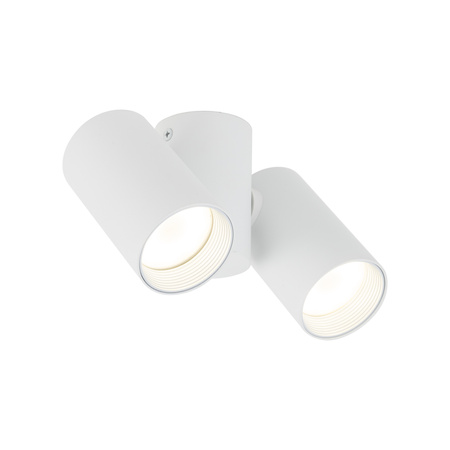 AMIS WHITE DOWNLIGHT 2xGU10