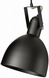 Lampa wisząca Loft metalowa Hold czarna 1xE27