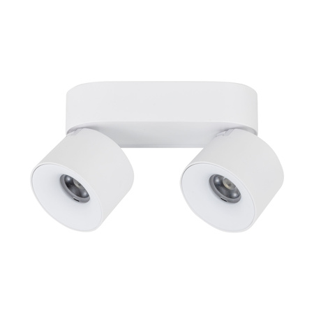 SPARK DUO WHITE CCT 20W