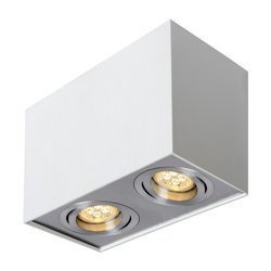 Oprawa sufitowa  podwójna ruchoma biała / aluminium prostokątna