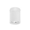 Lampa sufitowa VICO White 1xGU10